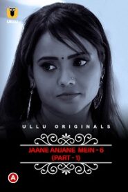 [18+] CharmSukh: Jane Anjane Mein (2022) S06 Part 1 Hindi Ullu Originals Complete Series